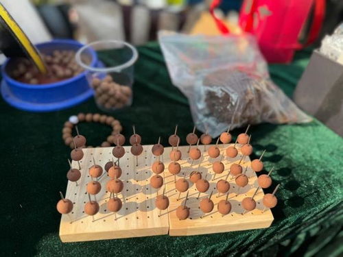 今日小雪，寶山健康廟會引領養生新潮流 中醫美式咖啡與中藥手串共舞